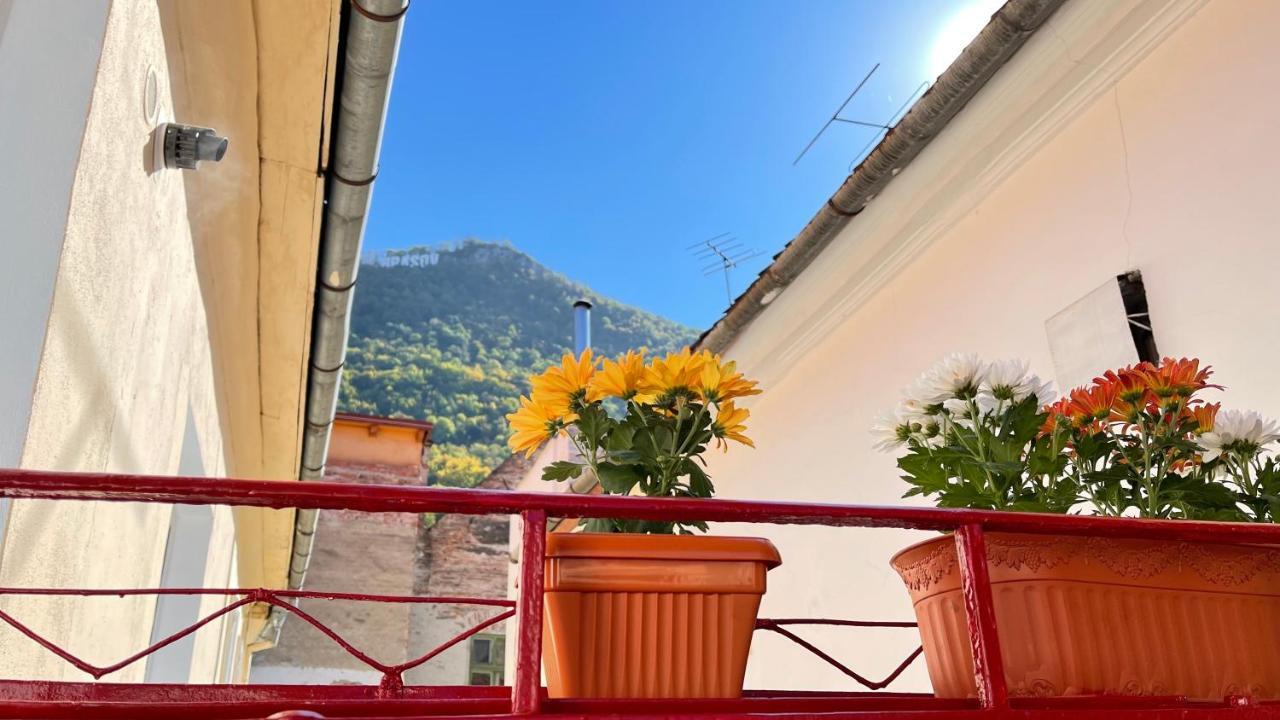 Maple Lodge Brasov Exterior photo