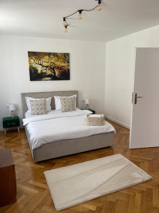 Maple Lodge Brasov Exterior photo